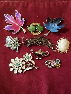 9 assorted Costume Pins